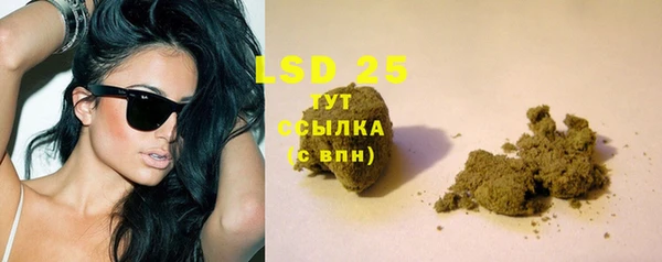 ПСИЛОЦИБИНОВЫЕ ГРИБЫ Сясьстрой